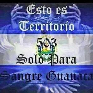 Meet your Posher, Edwin